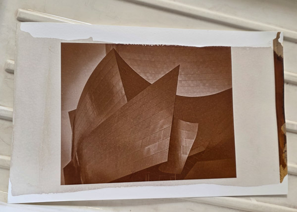 Platinum-Paladium prints